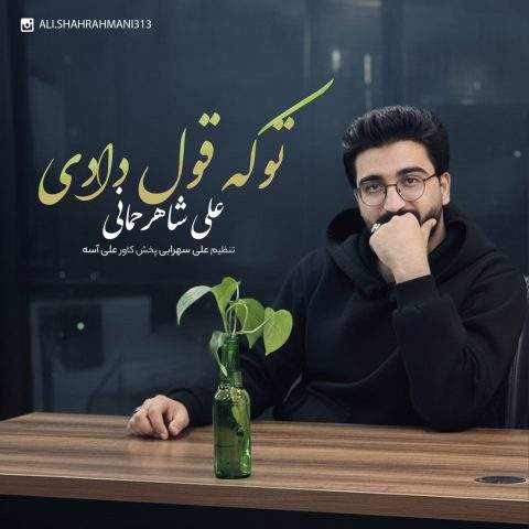 دانلود آهنگ آی گل مهربونم بعد تو نیمه جونم از علی شاهرحمانی